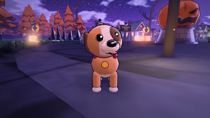 The stray pup pet with a collar and tag.